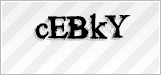 CAPTCHA security code