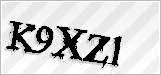 CAPTCHA security code